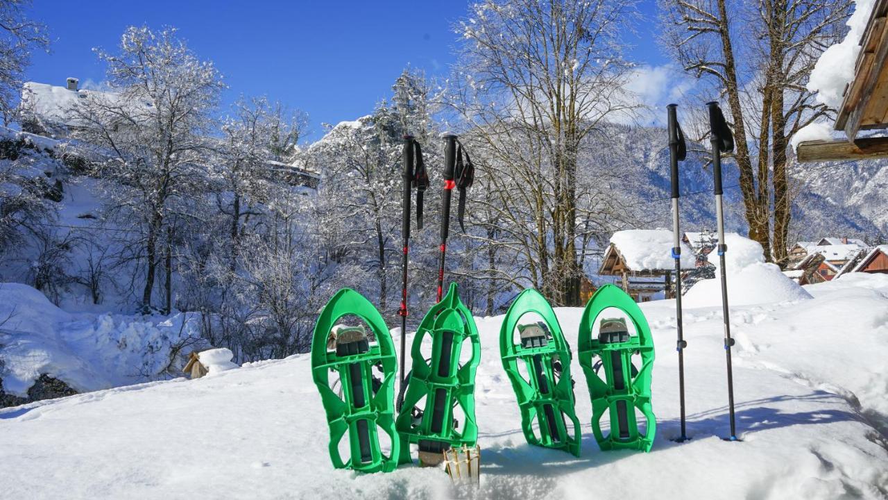 Chalet Hike & Bike Bohinj