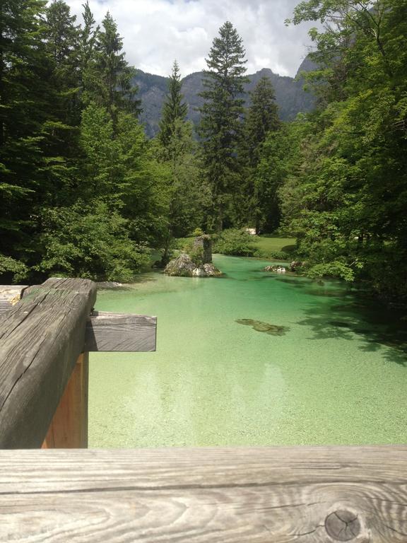 Chalet Hike & Bike Bohinj