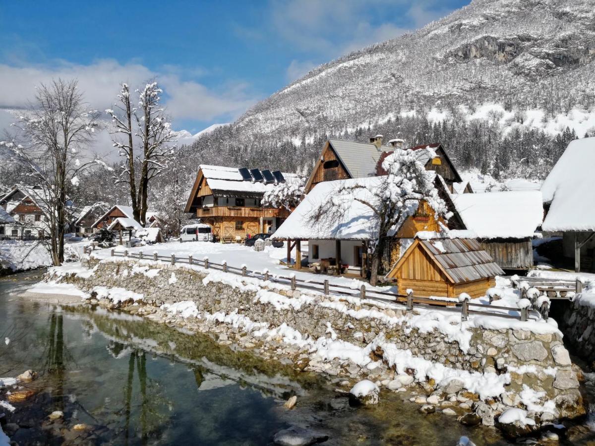 Hike & Bike * Bohinj